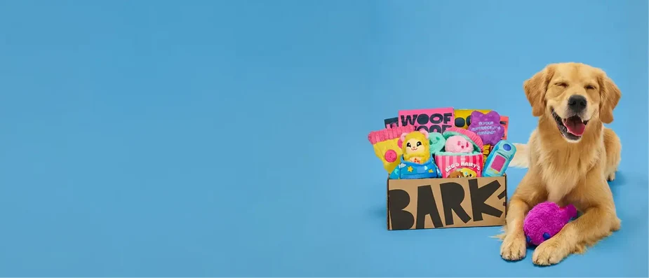 Unbox Joy Every Single Month
